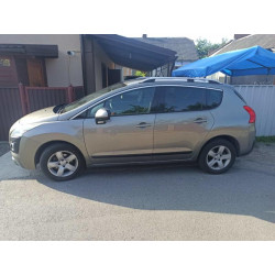 Купити Рейлінги Skyport Grey для Peugeot 3008 2008-2016 рр