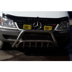 Купить Кенгурятник WT002 (нерж.) для Mercedes Sprinter W901/902/903/904/905 1995-2006 гг