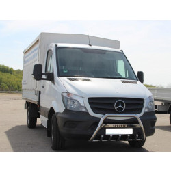 Купить Кенгурятник WT003 (нерж.) 60мм, с надписью для Mercedes Sprinter W906 2006-2018 гг