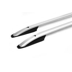 Купити Рейлінги Skyport (сірі) Довга база для Peugeot Expert 2007-2016 рр