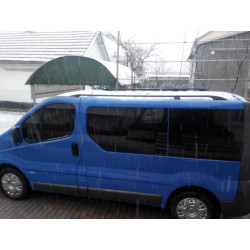 Купити Рейлінги чорні Довга, чавунні ніжки для Renault Trafic 2001-2015 рр