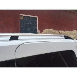 Купити Рейлінги Хром (Для Express ) Пластикова ніжка для Renault Kangoo/Express 2021- рр