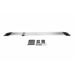 Купить Рейлинги Хром Короткая база, металлическая ножка для Opel Zafira Life 2019- гг