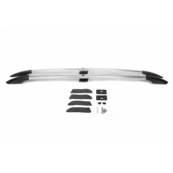 Купити Рейлінги Хром (2 шт) Довга база (Grande) для Renault Scenic/Grand 2003-2009 рр