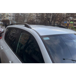 Купити Рейлінги Skyport (Чорні) Коротка база для Toyota Rav 4 2006-2013 рр