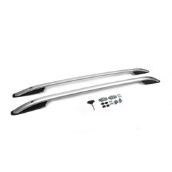 Купити Рейлінги Skyport (Сірі) Коротка база для Toyota Rav 4 2006-2013 рр