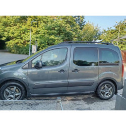 Купити Накладки на арки (4 шт, чорні) 2 бокові двері, пластик для Peugeot Partner Tepee 2008-2018 рр