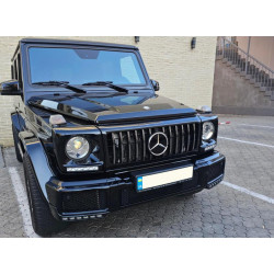 Купити Передня решітка (GT, з хром смужками) Біла з хром смужками для Mercedes G сlass W463 1990-2018рр