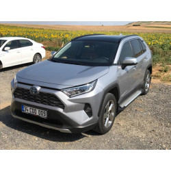 Купить Боковые пороги Allmond Grey (2 шт., алюминий) для Toyota Rav 4 2019- гг