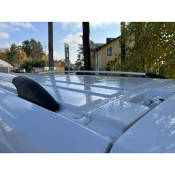 Купити Рейлінги Хром DDU (пласт. ніжки) Коротка база (SHORT) для Mercedes Vito / V-class W447 2014- рр