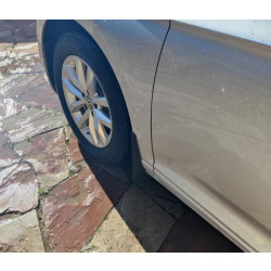 Купити Бризковики Premium SD/SW (EU, 4 шт) для Volkswagen Passat B8 2015-2023 рр