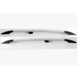 Купити Рейлінги Сірий металік Коротка база, пластикова ніжка для Opel Zafira Life 2019- рр