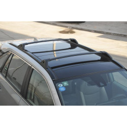 Купить Поперечены ОЕМ под интегрированые рейлинги (2 шт) для Toyota Rav 4 2019- гг