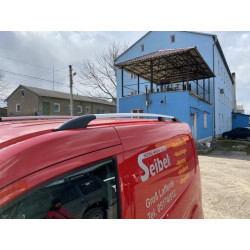 Купити рейлінги Хром Стандартна база, металеві ніжки для Ford Connect 2014-2021 рр