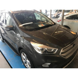 Купить Боковые пороги Bosphorus Grey (2 шт., алюминий) С окрашенной листвой на дверях для Ford Kuga/Escape 2013-2019 гг