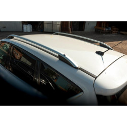 Купить Рейлинги Skyport (серые) для Ford Kuga/Escape 2013-2019 гг