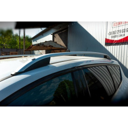 Купить Рейлинги Skyport (серые) для Ford Kuga/Escape 2013-2019 гг