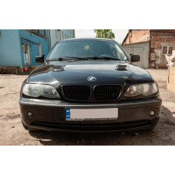 Купити Накладка на капот тип-B (2 шт, ABS)