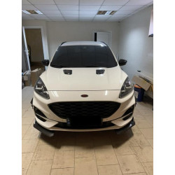 Купити Накладка на капот тип-B (2 шт, ABS)