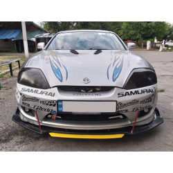 Купити Накладка на капот тип-A (2 шт, ABS)