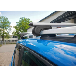 Купити Перемички на звичайні рейлінги під ключ Bold Bar Lite V1 (2 шт) Сірі для Volkswagen T6