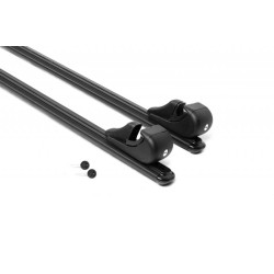 Купити Перемички на звичайні рейлінги під ключ Bold Bar Lite V1 (2 шт) Сірі для Ford Maverick 2000-2007 рр