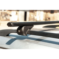 Купити Перемички на звичайні рейлінги під ключ Bold Bar V1 (2 шт) Сірі для Ford Maverick 2000-2007 рр