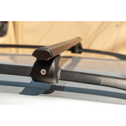 Купити Перемички на звичайні рейлінги під ключ Bold Bar V1 (2 шт) Чорні для Ford Maverick 2000-2007 рр