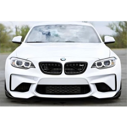 Купить Универсальная передняя Flap накладка DPT V-1 (ABS) (2шт) (черный глянец)