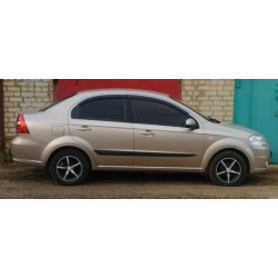 Купить Универсальные молдинги двери DPT (ABS) (4шт) (черный глянец)