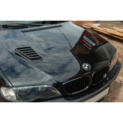 Купить Универсальные накладки на капот DPT (2 шт, черный глянец)