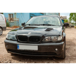 Купить Универсальные накладки на капот DPT (2 шт, черный глянец)