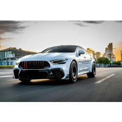 Купити Передня решітка GT Panamericana GT-R (2018-2022) для Mercedes AMG GT 4 X290