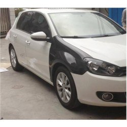 Купить Крылья (для HB 2010-2013, Карбон) для Volkswagen Golf 6
