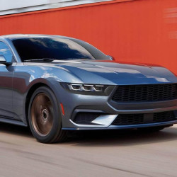 Купить Накладки на противотуманки (Карбон) для Ford Mustang 2024- гг