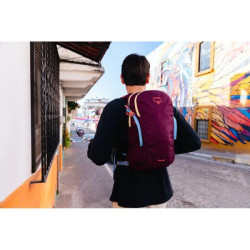 Купить Рюкзак Osprey Daylite