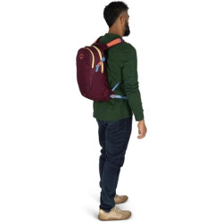 Купить Рюкзак Osprey Daylite
