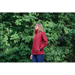 Купить Куртка Salewa Puez Aqua 4 PTX 2.5L Wms