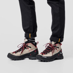 Купити Черевики Salewa WS ALP Mate Winter MID WP