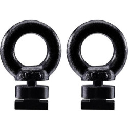 Купить Кольцо в Т-паз Thule Eye Bolt 320003 (TH 320003)