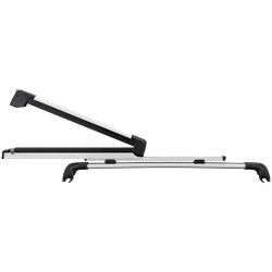 Купить Крепление лыж/сноубордов Thule SnowPack Extender 732500 (TH 732500)
