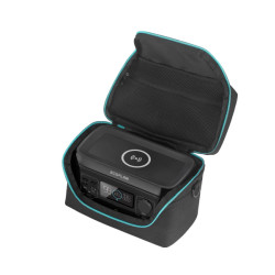 Купить Сумка EcoFlow RIVER mini Bag