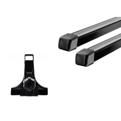 Buy Bug on drains (15cm) Thule Squarebar for Chevrolet Express (MKI-MKII) 1996-2016 (Th 765-951)