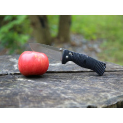 Купить Ніж складаний Ganzo G720-B чорний