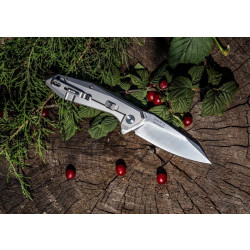 Купить Ніж складаний Ruike P135-SF