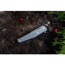 Купить Ніж складаний Ruike P108-SF