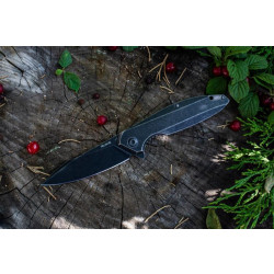Купить Ніж складаний Ruike P128-SB