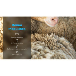 Купить Шкарпетки водонепроникні Dexshell Compression Mudder, р-р S, сірі