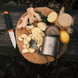 Купить Ніж Ganzo G806-OR помаранчевий з ножнами