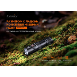 Купити Ліхтар ручний Fenix PD25R